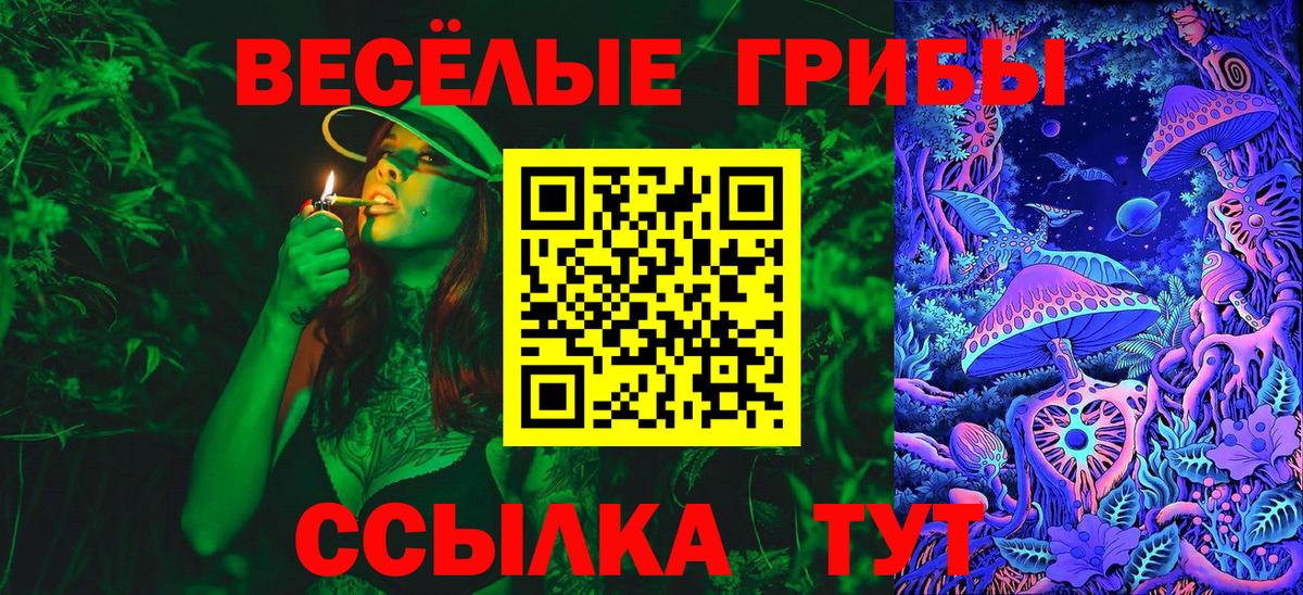 Псилоцибиновые грибы Cubensis Югорск