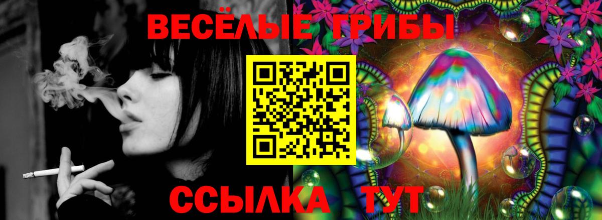 Галлюциногенные грибы GOLDEN TEACHER  Вход с VPN  Югорск 